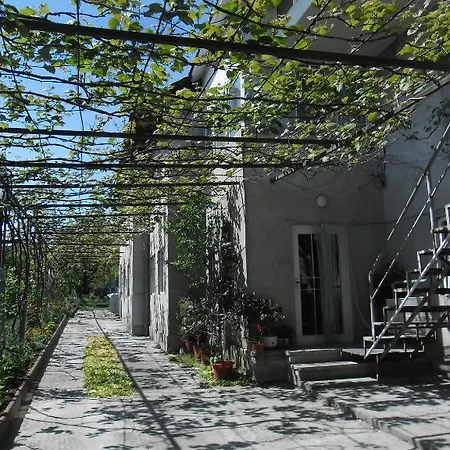 Vila Nino Filip 2* Costinesti